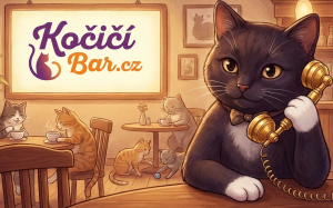                                     Kočičí Bar.cz
                            