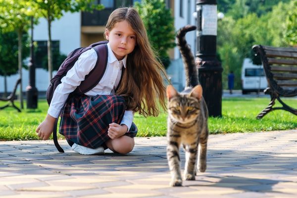 Jak vybrat dárek pro školou povinné milovníky kočiček