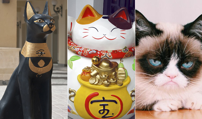 Kočky v dějinách umění a v kultuře