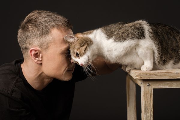 Jak poznat, že vám kočka důvěřuje: 10 jemných signálů