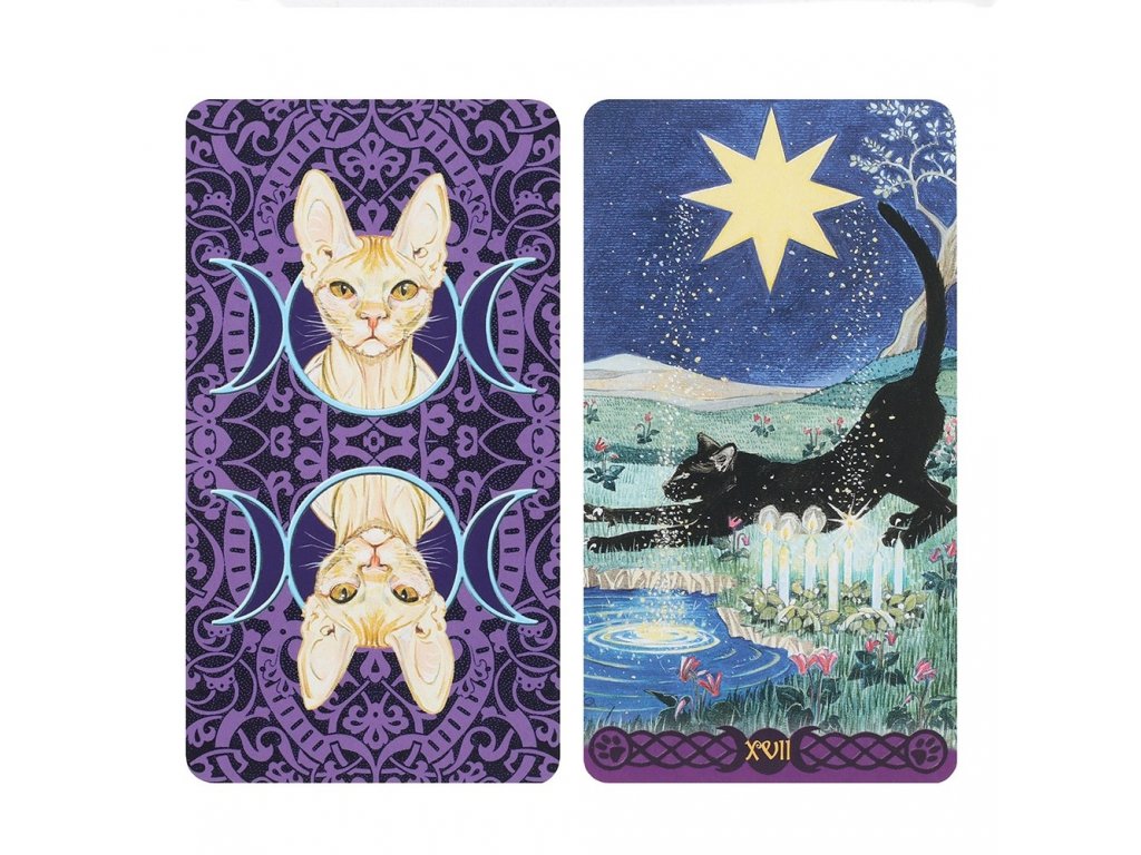 TIP: Tarotové karty s kočkami Pagan Cats | Kočičí paní