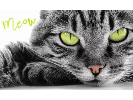 ručník osuška kočka s kočkou kočičí s kočkami oči whiskas