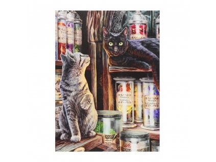 obraz kočka s kočkou kočičí s kočkami kouzelné magické plátno lisa parker