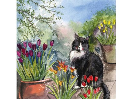 přání blahopřání kočka s kočkou kočičí s kočkami tulipán alex clark