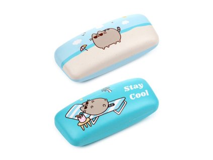 pouzdro na brýle kočka s kočkou kočičí s kočkami pusheen