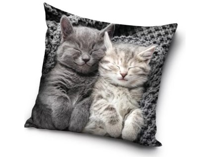 povlak polštář kočka s kočkou kočičí kotě koťátko černá bílá