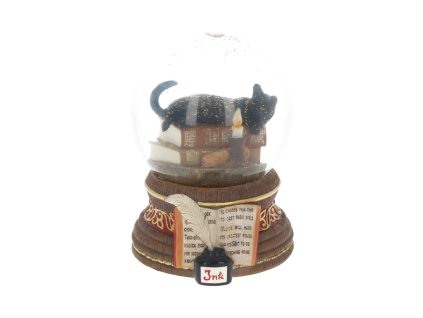 sněžítko kočka s kočkou kočičí knihy lisa parker