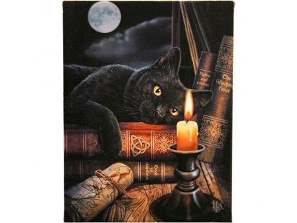 obraz kočka s kočkou kočičí knihy plátno lisa parker