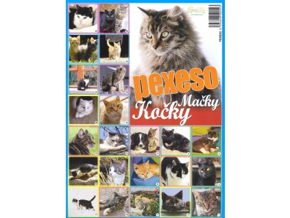 pexeso kočka s kočkou kočičí