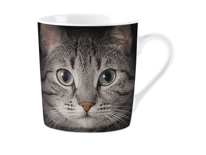 hrnek porcelán kočka s kočkou kočičí mourovatý kocour