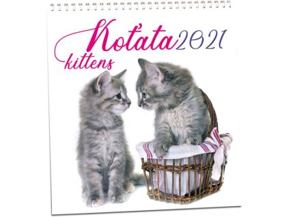 kalendář 2021 nástěnný kočka s kočkou kočičí kotě