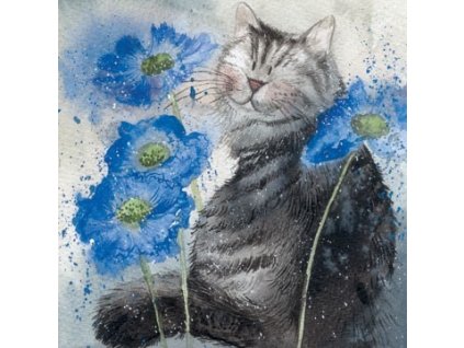 přání blahopřání kočka s kočkou kočičí modrá alex clark