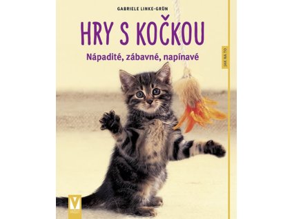 Hry s kočkou kniha nápady kočka kočičí s kočkami