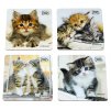 sada korkových podložek potácků kočka s kočkou kočičí koťata korek 1