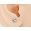 piercing kočka s kočkou kočičí s kočkami tlapka packa ocel 3