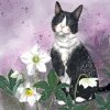 přání blahopřání kočka s kočkou kočičí s kočkami Alex Clark kočka a bílé květy