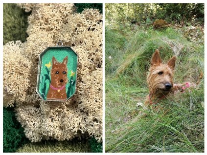 81E48593 72A9 4C63 9585 406A30DDC85B