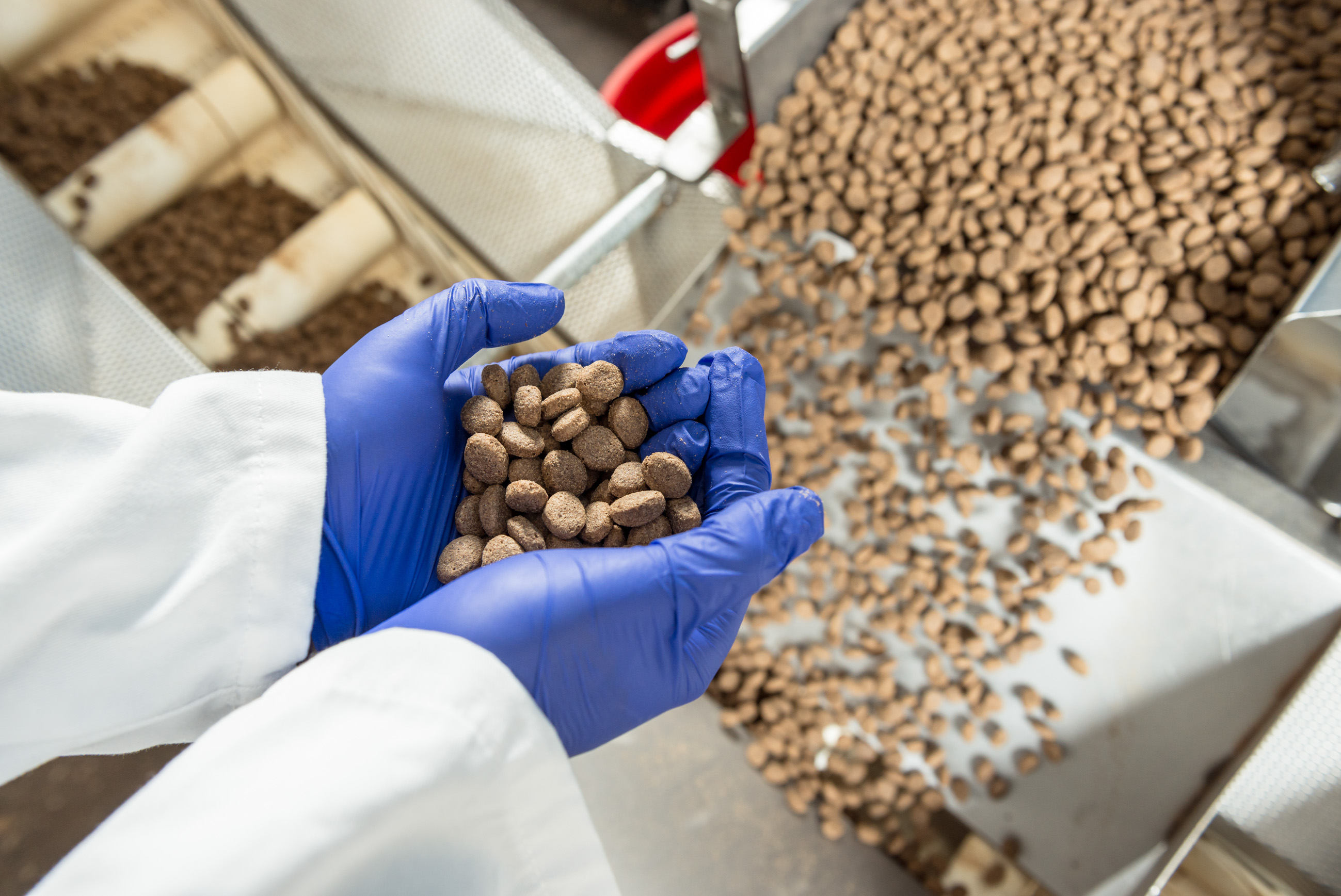 Krmivo Kočičí Veličenstvo