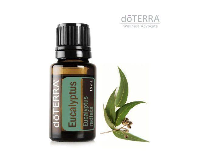 doTERRA Esenciálny olej Eucalyptus 15 ml