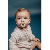 Suavinex Silikónový fyziologický cumlík Colour Essence Butterfly 6-18m