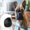 Neno Detská pestúnka camera IP-Wifi Orso