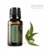 doTERRA Esenciálny olej Eucalyptus 15 ml