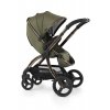 BabyStyle Egg2 Gold set 6 v 1 - Hunter Green 2023