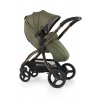 BabyStyle Egg2 Gold set 6 v 1 - Hunter Green 2023