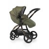 BabyStyle Egg2 Gold set 6 v 1 - Hunter Green 2023