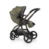 BabyStyle Egg2 Gold set 6 v 1 - Hunter Green 2023