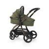 BabyStyle Egg2 Gold set 6 v 1 - Hunter Green 2023