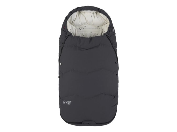 Explorer grey flying