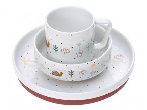 Dish Set Porcelain Garden Explorer girls