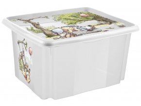 Úložný box s vekem malý "Winnie", Transparent