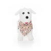 Zopa Hopsadlo Skippy Varianta: Dog White