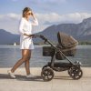set DUO I combi push chair - air chamber wheel brown