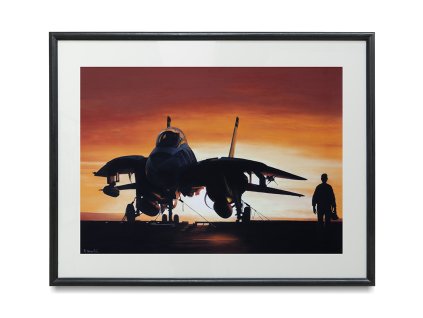 obraz F 14