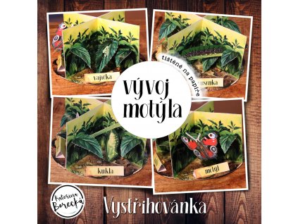 vystrihovanka motyl