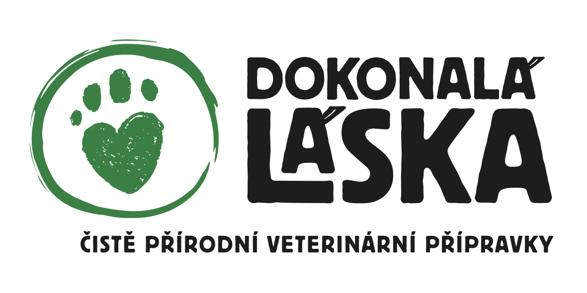 Dokonalá láska 