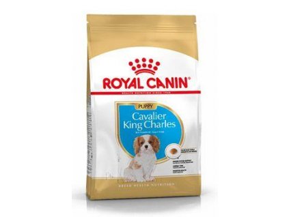 Royal Canin Breed Kavalír King Charles Junior  1,5kg