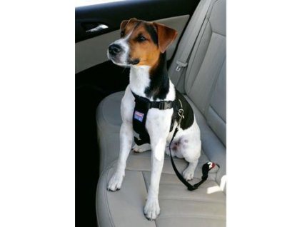 Bezpečnostný postroj do auta pre psov S Zolux
