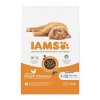 Iams Cat Kitten Chicken 10kg