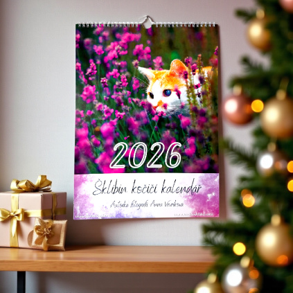 Photoroom 20251112 161101