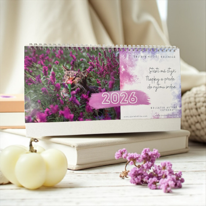 Photoroom 20250927 150503