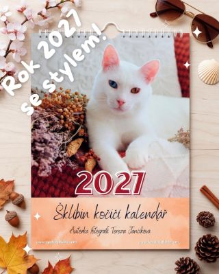 🛑 POZOR: Rok 2027 bude mít neskutečný STYL! 🔥🗓️ Máte pocit, že na plánování nového roku je ještě brzy? Ani náhodou!...