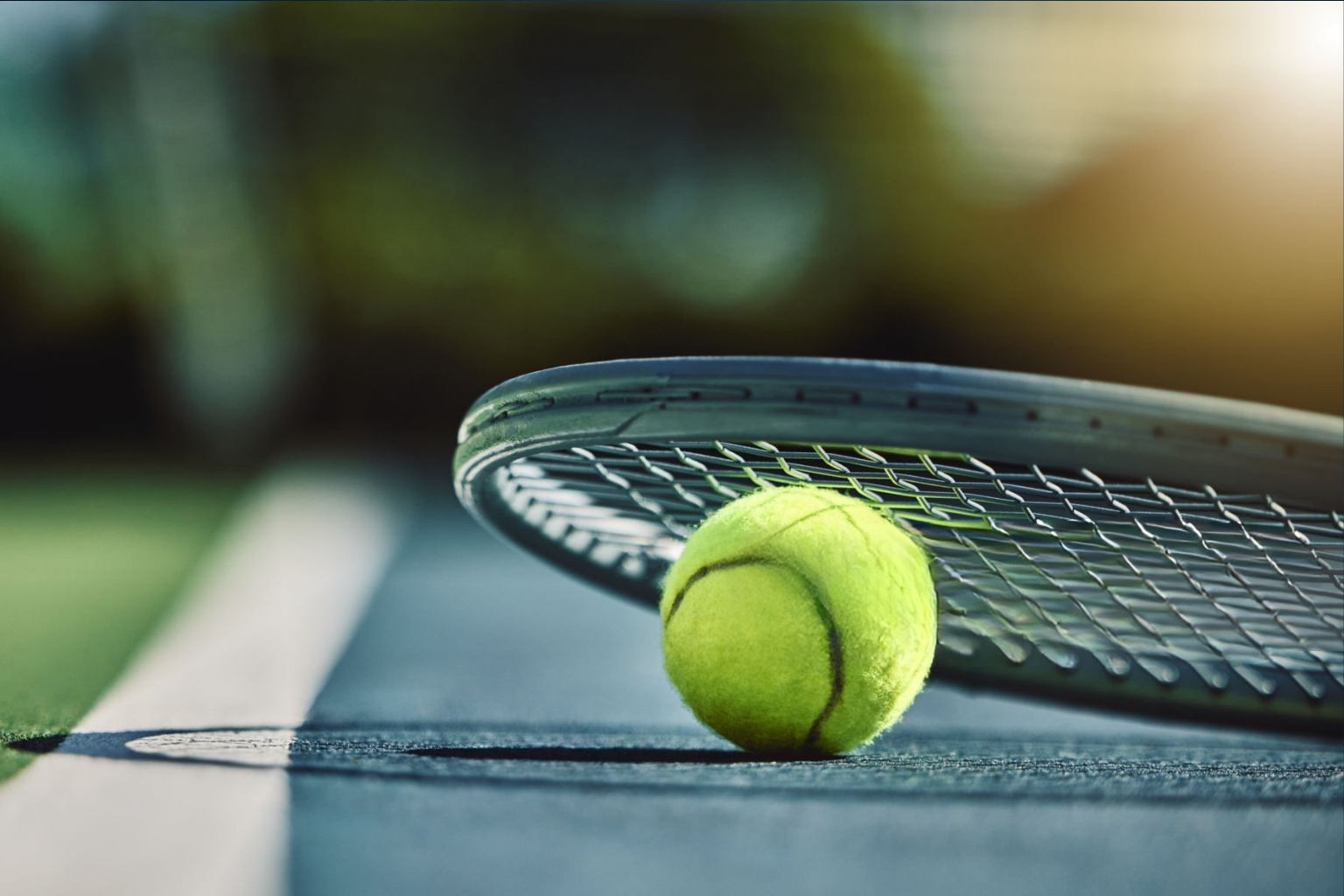 Tenis