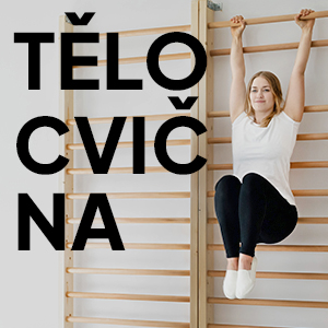 Tělocvičné nářadí