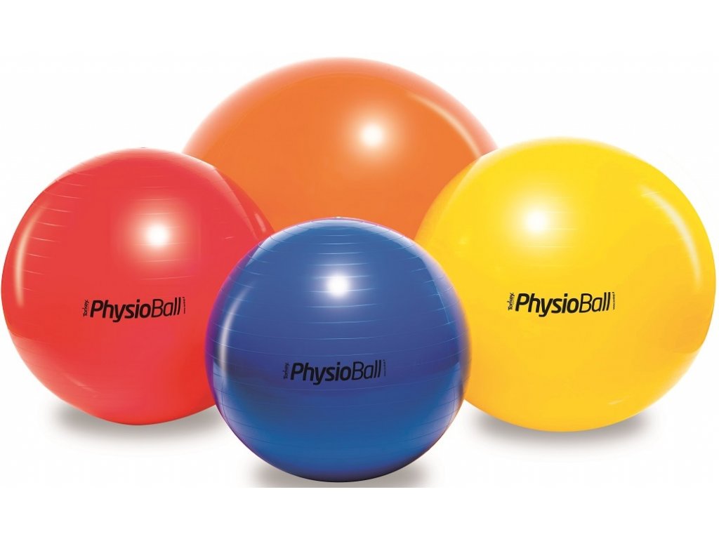 physioball standard ledragomma 1