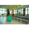 mic gymnastikball standard ledragomma