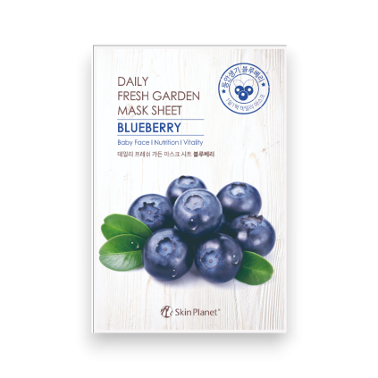 블루베리 Photoroom